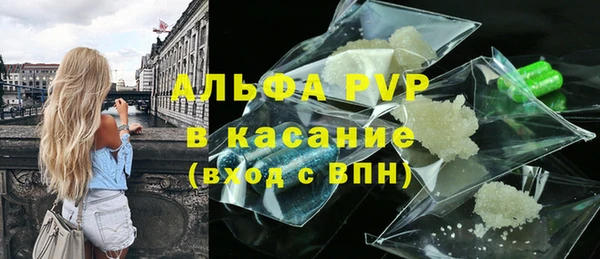 стафф Иннополис