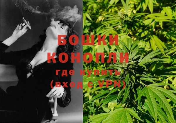стафф Иннополис