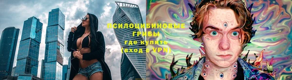 mdpv Инсар