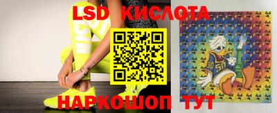 spice Керчь