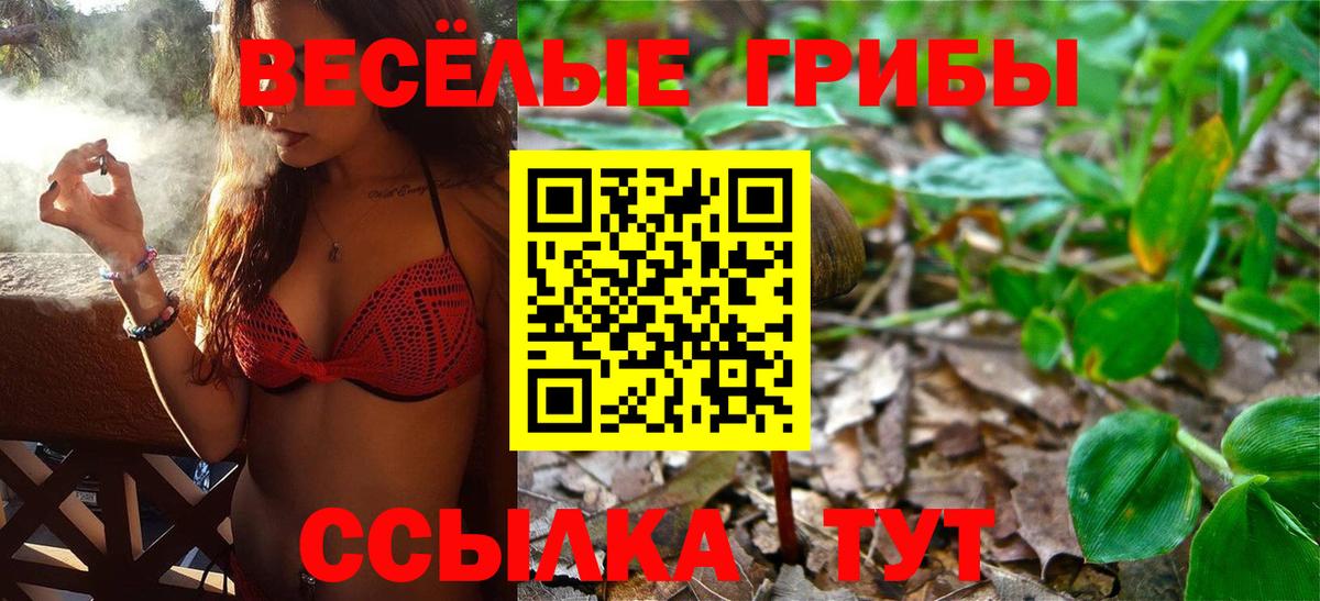 Серпухов  где найти наркотики  Вход с VPN  Галлюциногенные грибы мицелий 